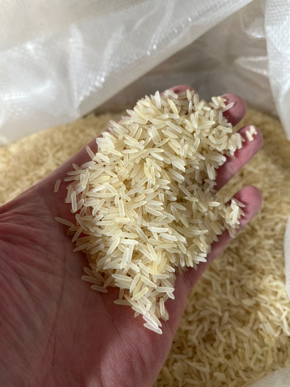 برنج 1121 هندی